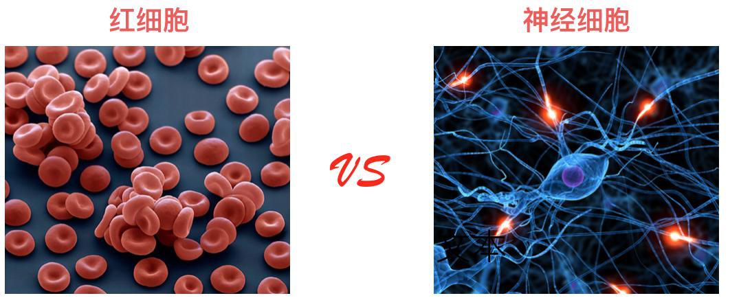 1531997339763046Smcy.png 2.png