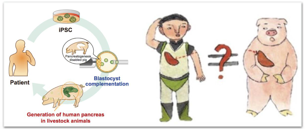 1531997385767294afZP.png 4.png