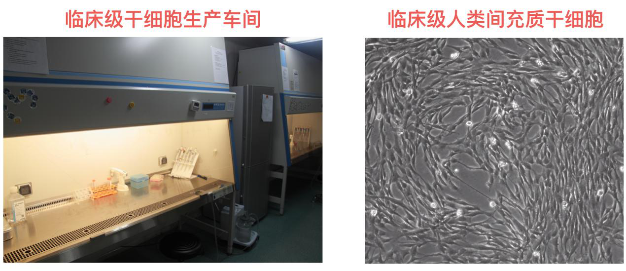 1531997402784982kWmy.png 5.png