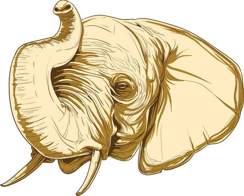 1531997002643184lBK2.png 2.png