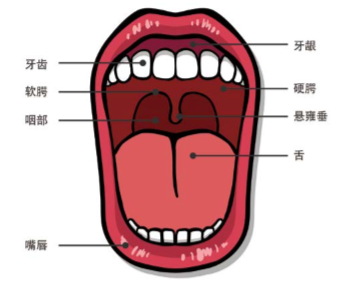 15319978416272626PcB.png 1.png